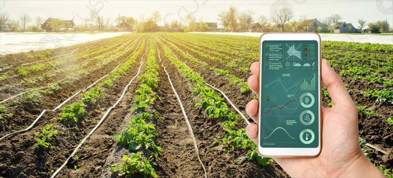 شركة ناشئة سورية تطور تطبيقًا ذكيًا لإدارة المياه في الزراعة