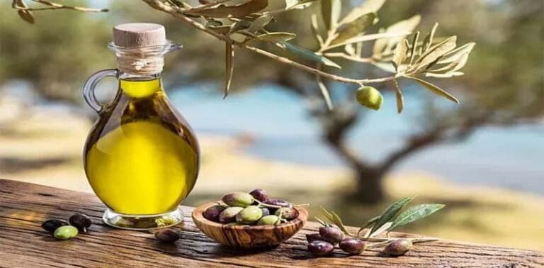 تصدير أول شحنة زيت زيتون إلى الأردن