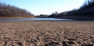 نقص المياه يهدد بعض المحاصيل الصيفية في مناطق شرق سوريا