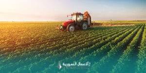 الصناعات الغذائية الزراعية كمحرك للنمو في سوريا 2025