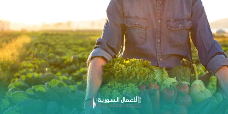 منع استيراد 20 منتجًا زراعيًا في سوريا: خطوة نحو دعم الإنتاج المحلي