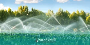 فرص الاستثمار في الزراعة المروية الحديثة في سوريا: من إعادة تأهيل الري إلى مشاريع الإنتاج المستقر