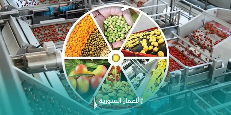 مشاريع التصنيع الغذائي الخاصة في سوريا: فرص استثمارية مدفوعة بالطلب المحلي
