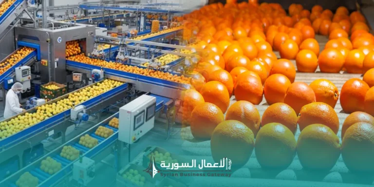 دراسة جدوى مبدئية لمشروع تعبئة وفرز وتوضيب الحمضيات في سوريا
