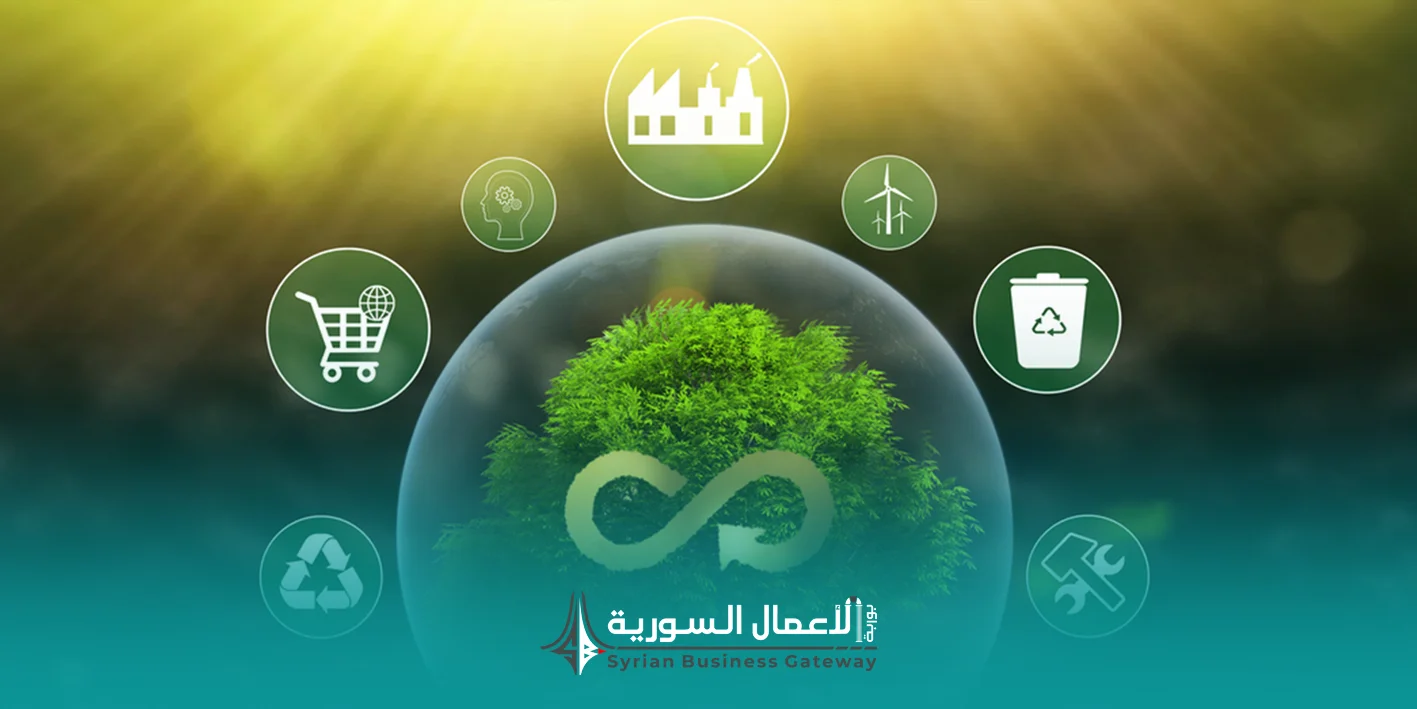 المخلفات الزراعية في سوريا: فرصة مهملة ضمن الاقتصاد الدائري وإعادة التدوير