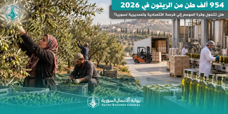 954 ألف طن من الزيتون في 2026: هل تتحول وفرة الموسم إلى فرصة اقتصادية وتصديرية لسوريا؟